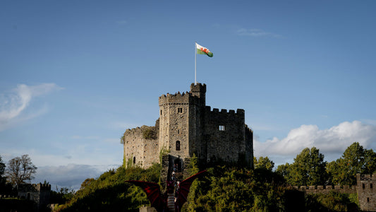 Same Day Courier Cardiff — Cardiff Castle