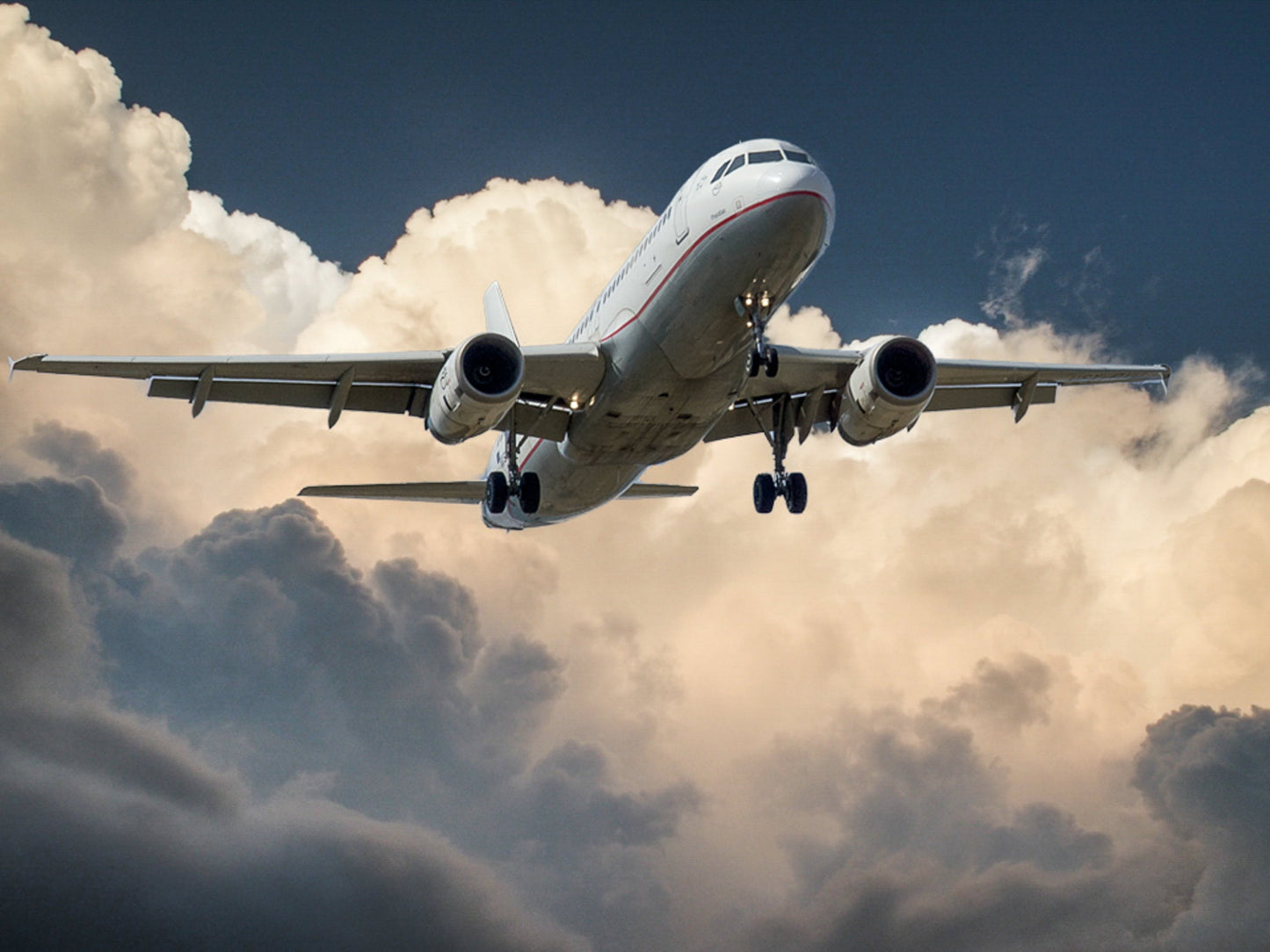 FLIGHT COURIER